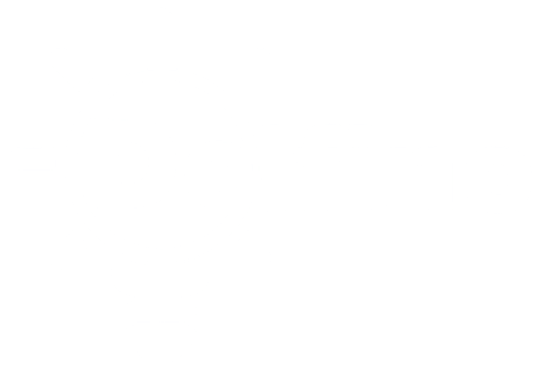 Delfino Electricidad