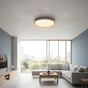 Aplique LED Moderno FANY BLOR Vk Minimalista de Techo 32W