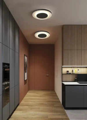 Plafon Aplique Circular de Aluminio Moderno LED 36w