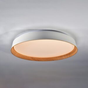 Plafon Fany Blanco Madera Led Control Remoto Dimerizable Vk - VONDERK