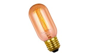 Lámpara Incandescente Antique Tubular T45 25W E27 Filamento De Carbono