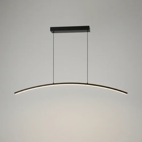 Lámpara Colgante LED Curva Leo de Candil, 30W y Luz Cálida Negra – CANDIL